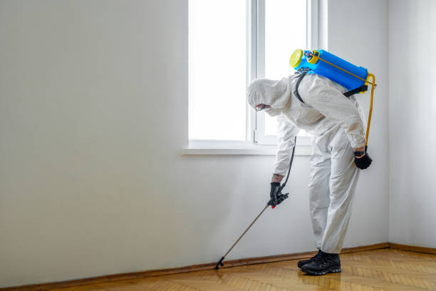 Best Pest Exclusion Services  in Linda, CA